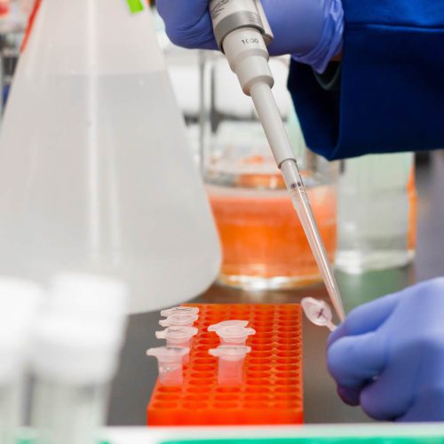 Inmunogenética - Yunis Turbay